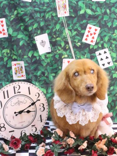 20250406ふうくん